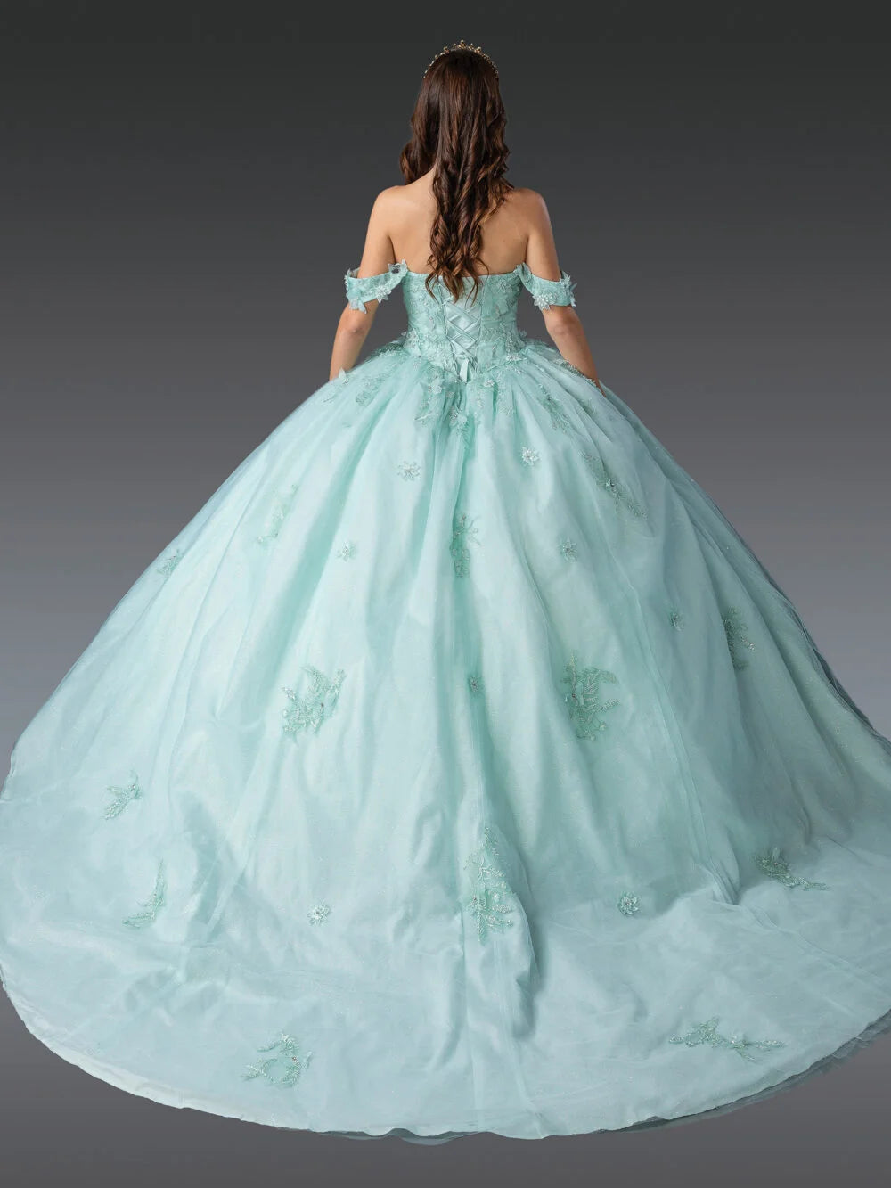 Elegant Sweetheart Neckline Ball Gown Quinceañera Dress with Floral Appliqués and Sheer Overlay Quinceanera Dress