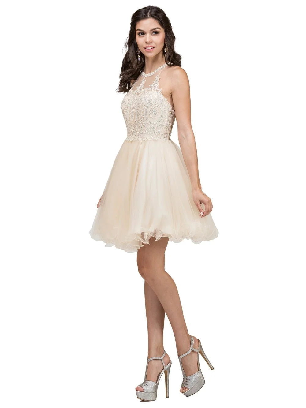 Embroidered Lace Top Dress with Halter Neckline and Layered Tulle Skirt Homecoming Dress
