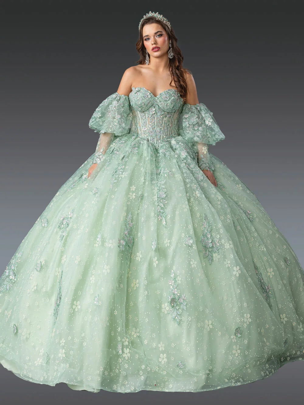 Majestic Off-Shoulder Floral Embellished Quinceanera Ball Gown with Detachable Puff Sleeves Quinceanera Dress