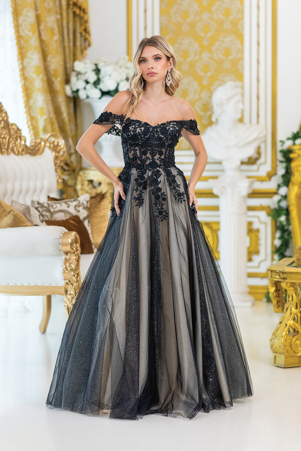 Off-the-Shoulder Tulle Ballgown with Lace Embroidery and Sheer Overlay Prom Dress