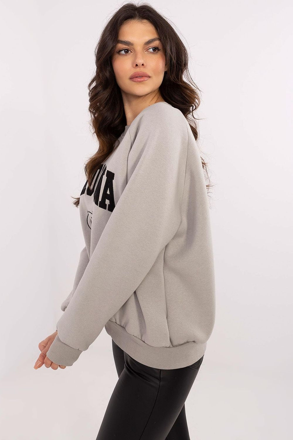 Sweatshirt model 206353 Factory Price