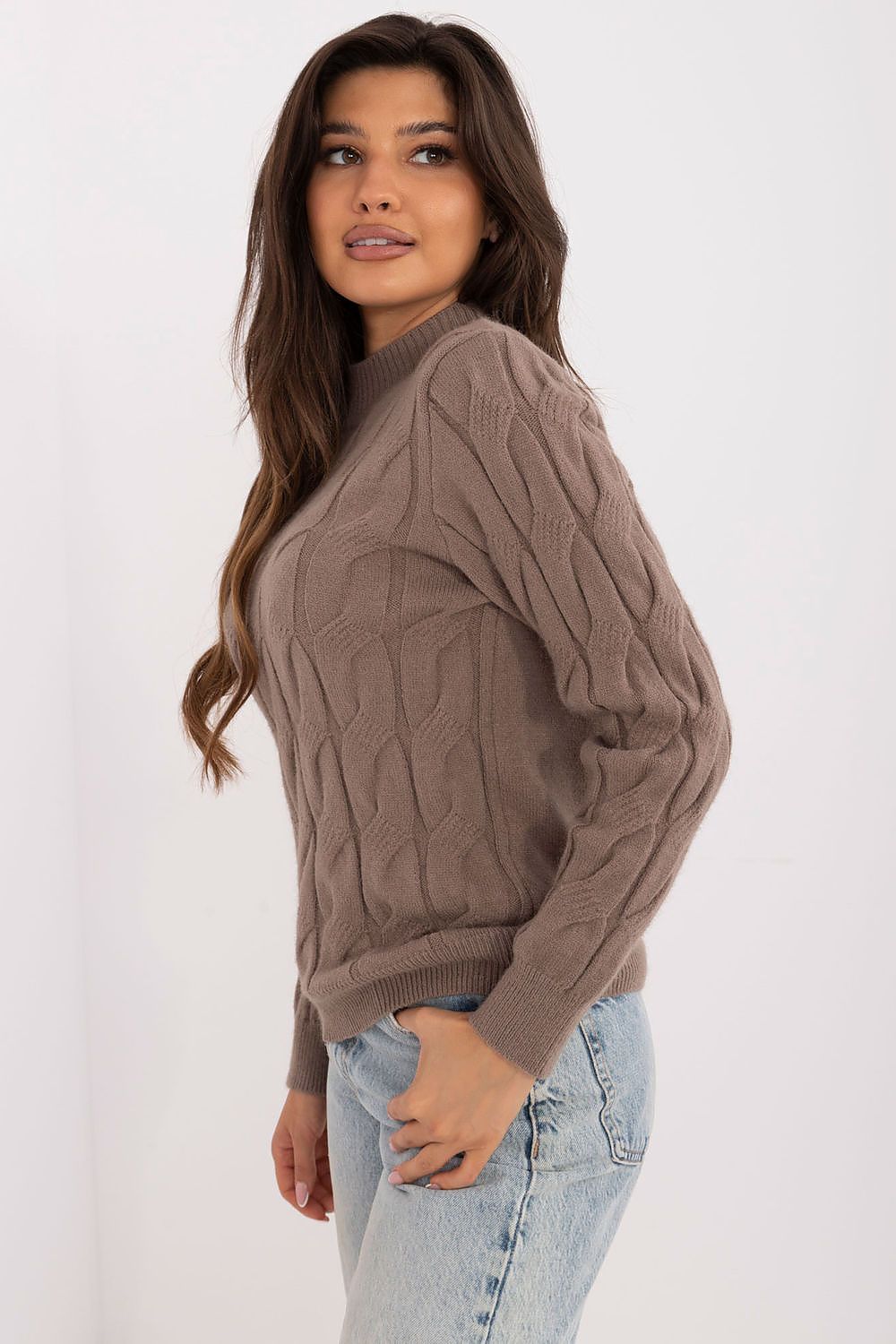 Jumper model 208273 AT