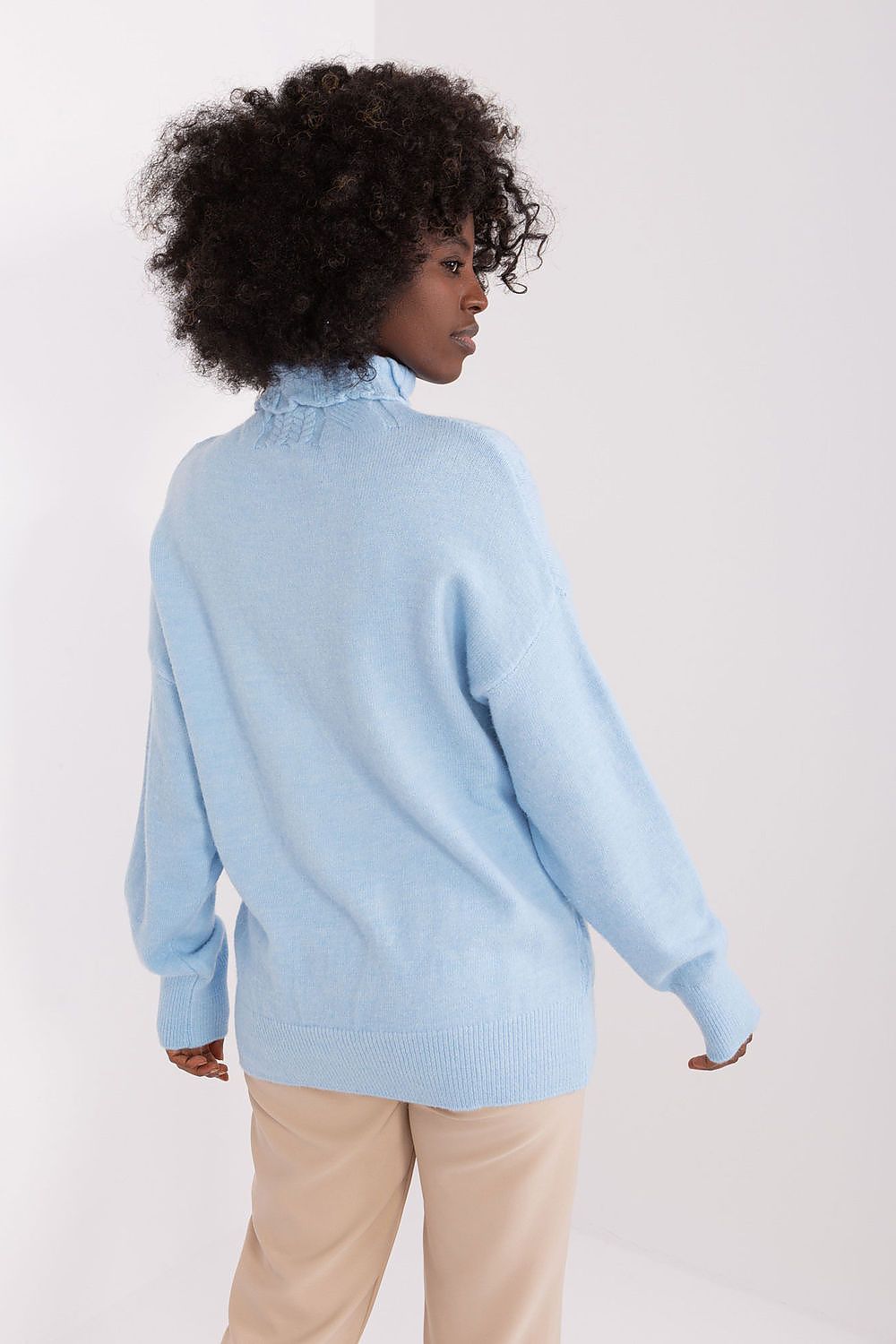 Turtleneck model 208310 AT