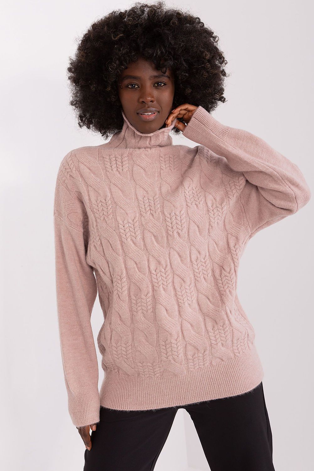 Turtleneck model 208311 AT