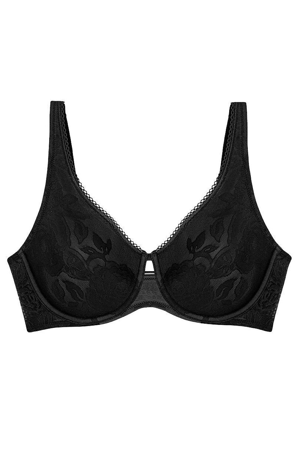 Soft model 229886 Triumph