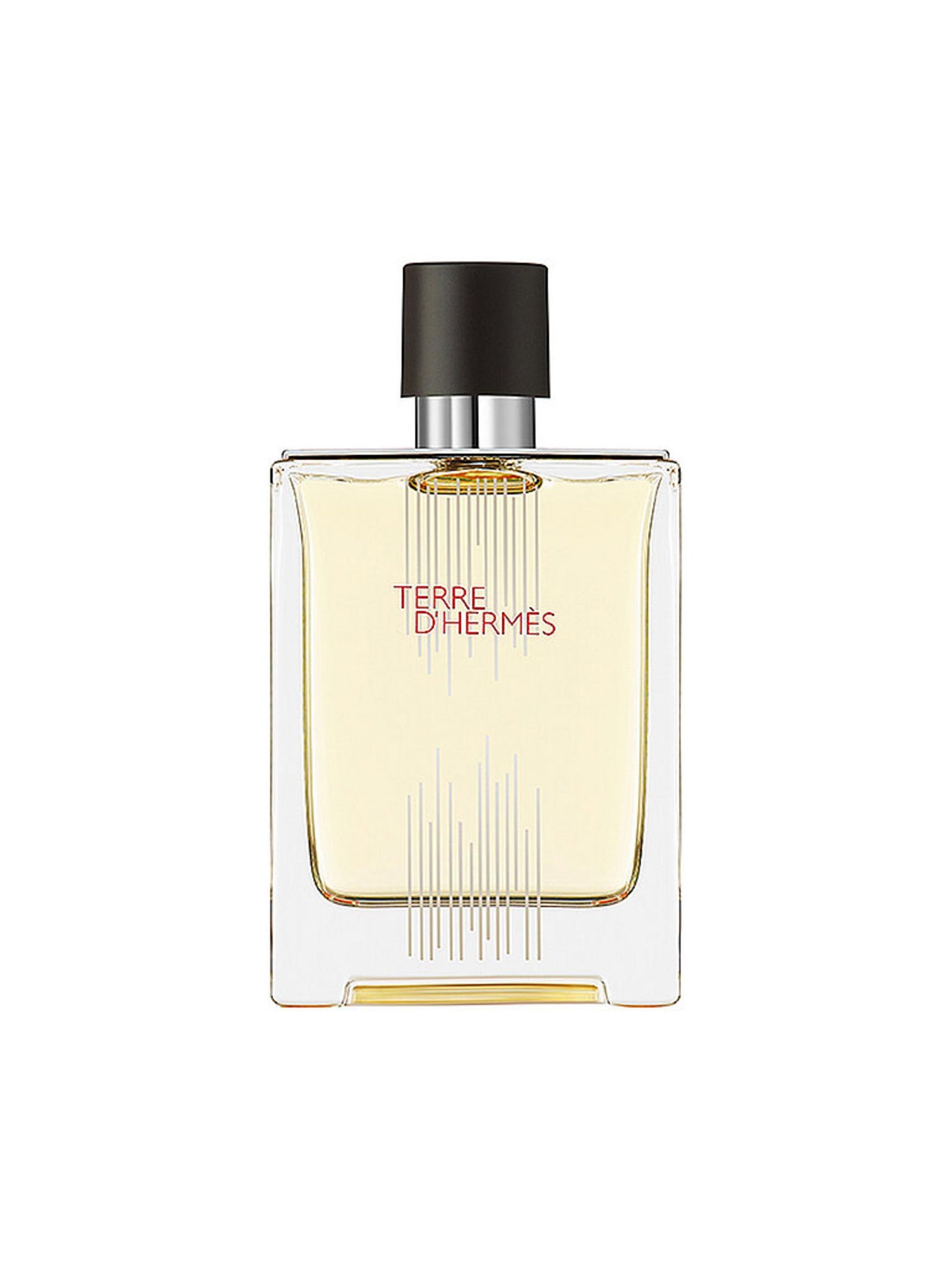 Hermes, Terre d'Hermes Flacon H Limited Edition, Eau De Toilette, For Men, 100 ml