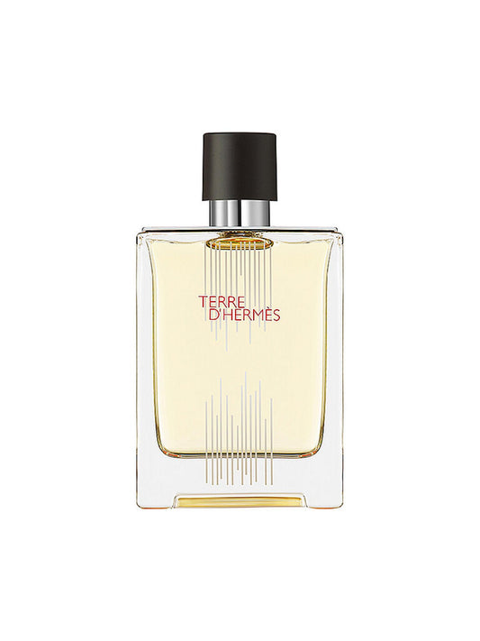 Hermes, Terre d'Hermes Flacon H Limited Edition, Eau De Toilette, For Men, 100 ml