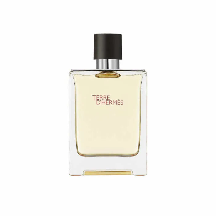 Hermes Terre D'Hermes Eau De Toilette Spray 100Ml - HERMÈS