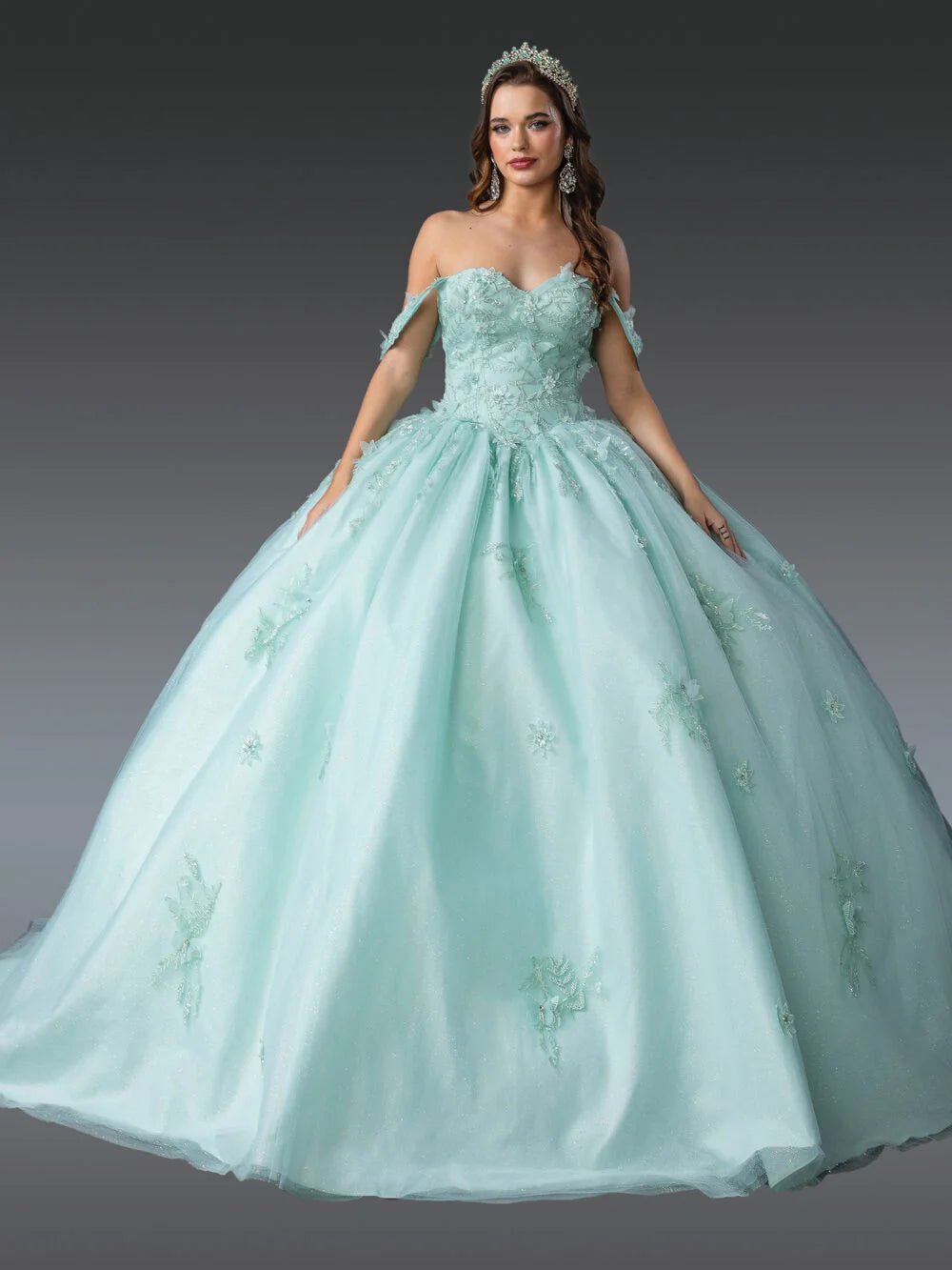 Elegant Sweetheart Neckline Ball Gown Quinceañera Dress with Floral Appliqués and Sheer Overlay Quinceanera Dress