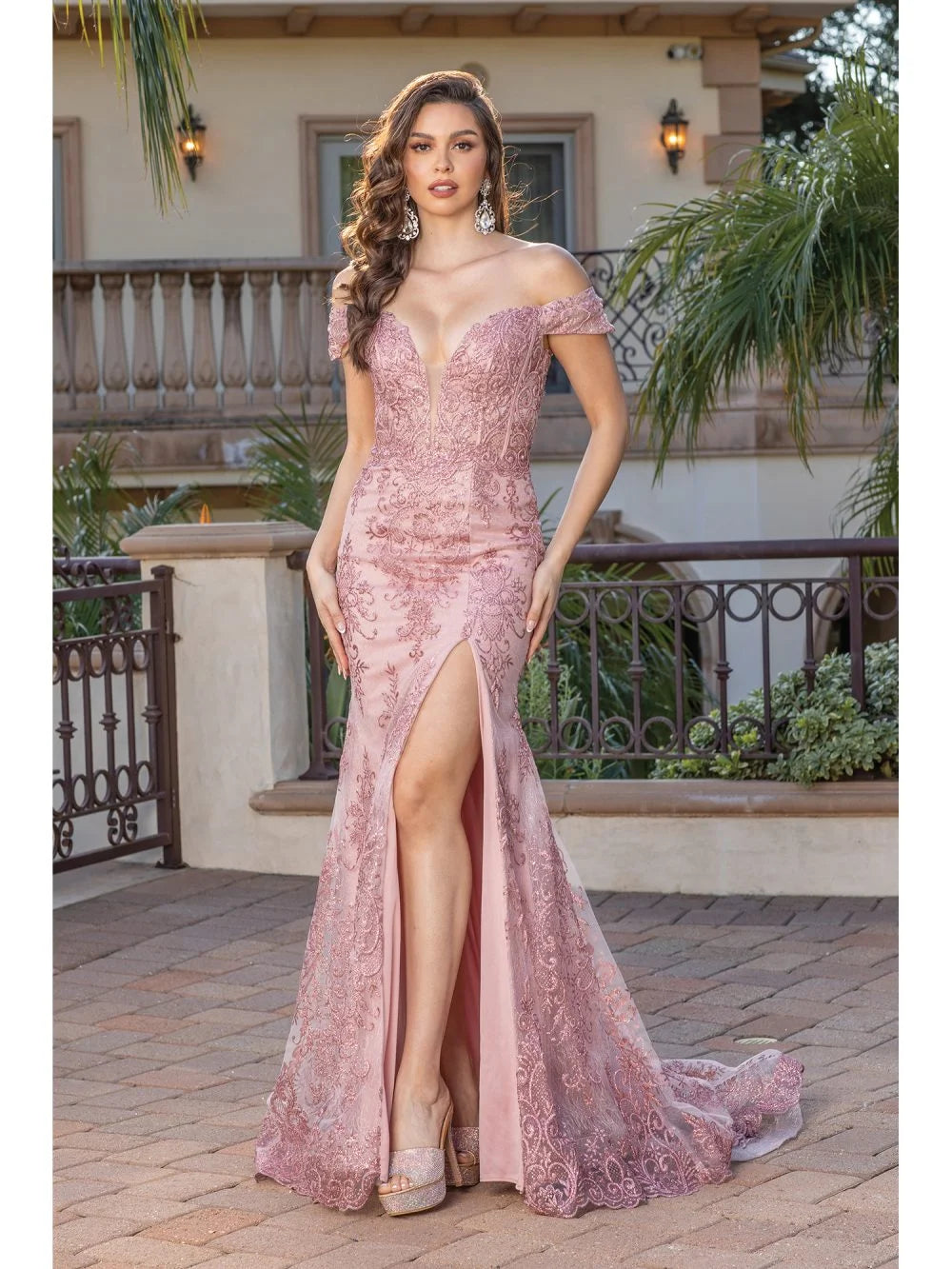 Off-Shoulder Lace Gown with Plunge Neckline, Thigh-High Slit, and Court Train Prom Dress