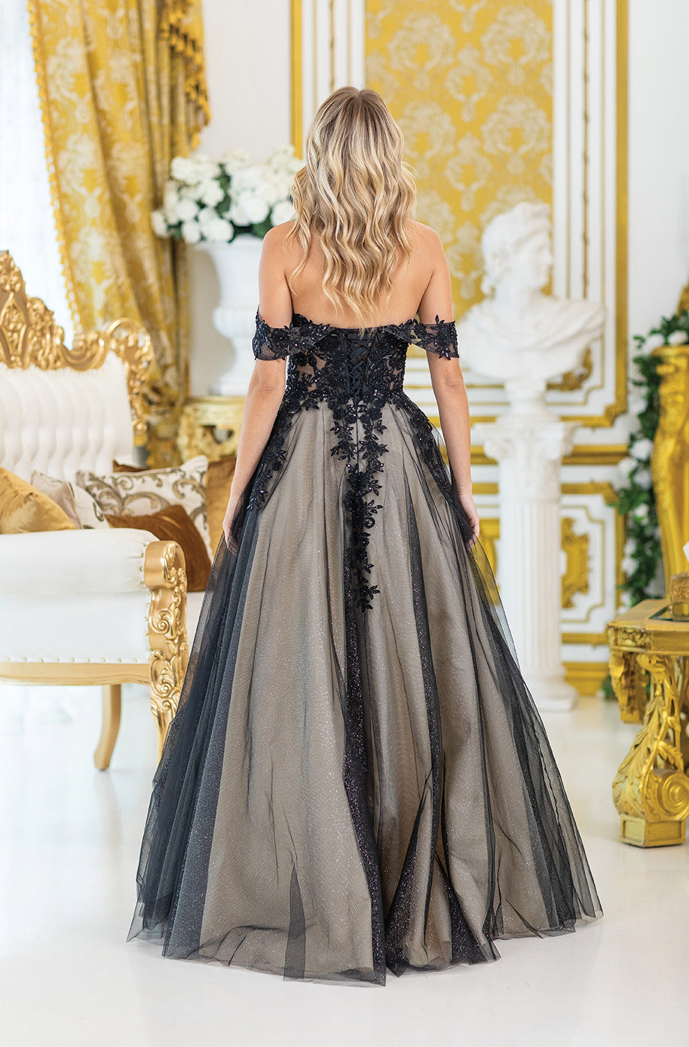 Off-the-Shoulder Tulle Ballgown with Lace Embroidery and Sheer Overlay Prom Dress
