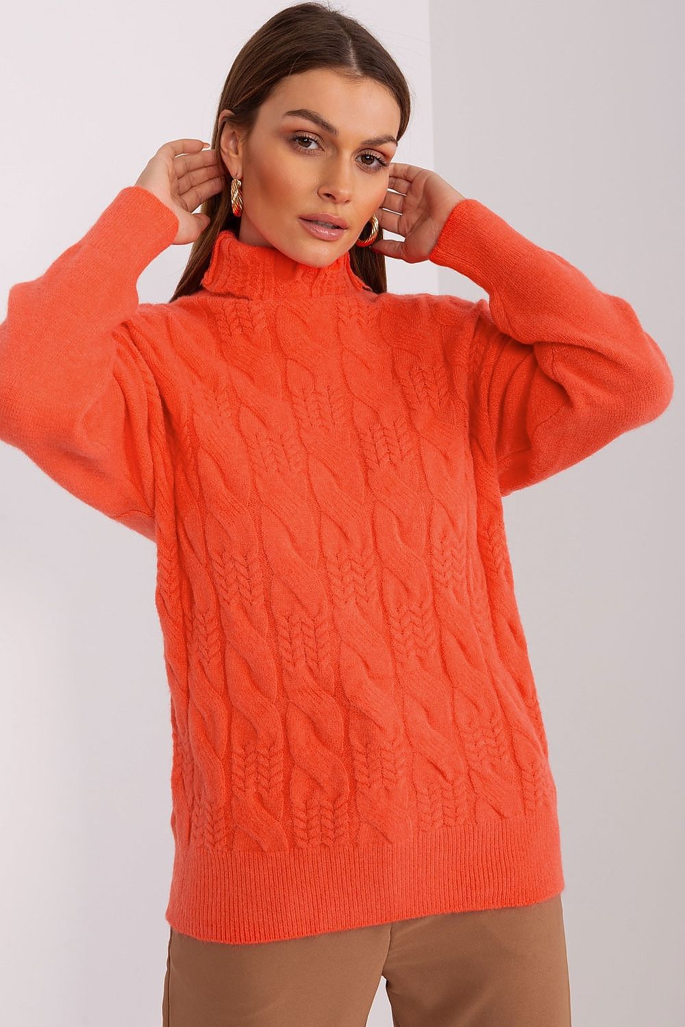  Turtleneck model 189892 AT 
