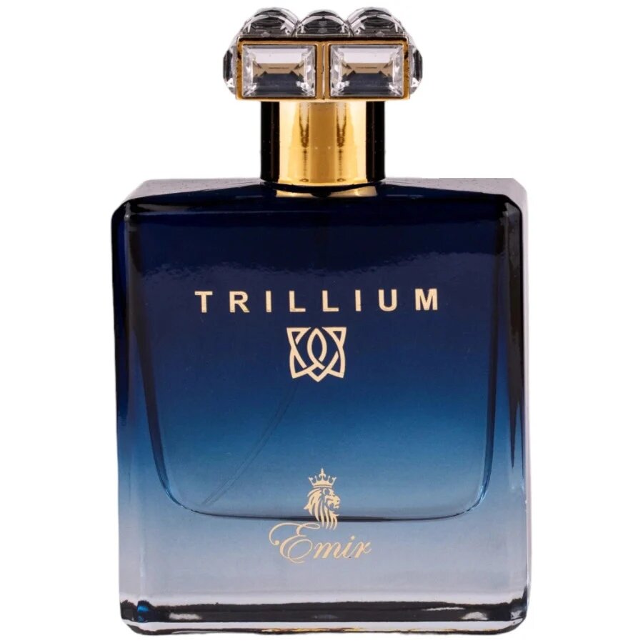 Emir, Trillium, Eau De Parfum, For Men, 100 ml