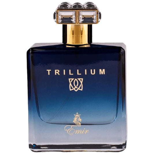 Emir, Trillium, Eau De Parfum, For Men, 100 ml
